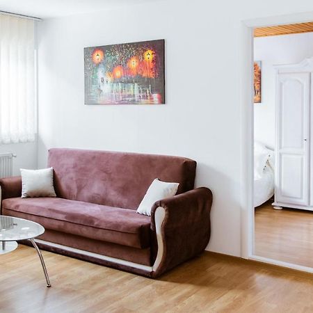 Ultracentral Apartment Сучеава Екстериор снимка